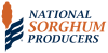 NSP